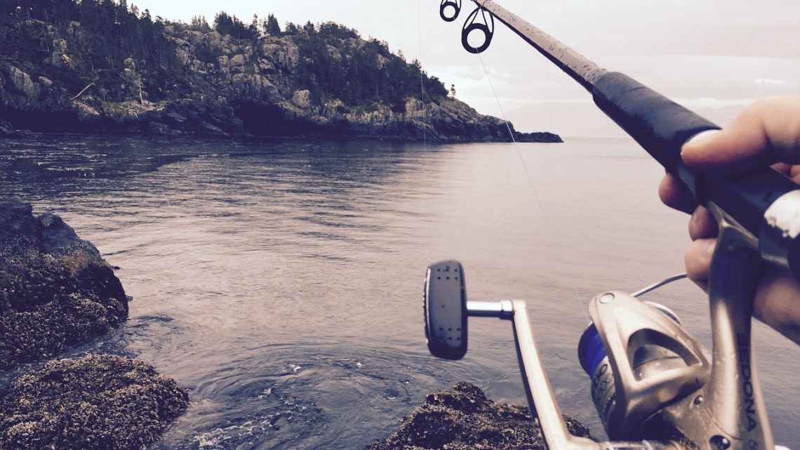 Quels accessoires pour aller à la pêche pour un débutant ?