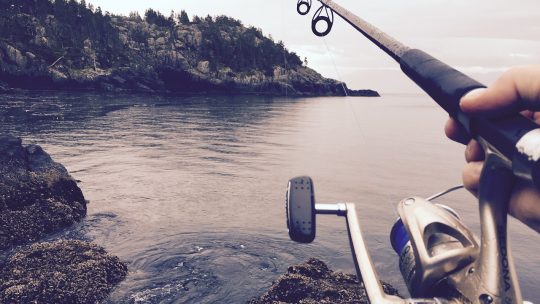 Quels accessoires pour aller à la pêche pour un débutant ?