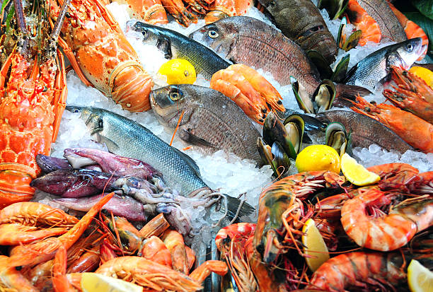 Tailles legales de capture des coquillages, crustaces et poissons